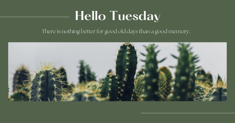 Tuesday quotes